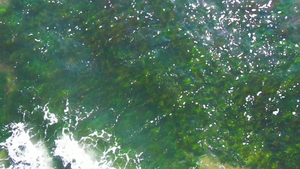 Green-blue ocean water in La Bocana, Mexico, with underwater rock forms and algae showing through while white foam gathers near the lower edge, no visible people.