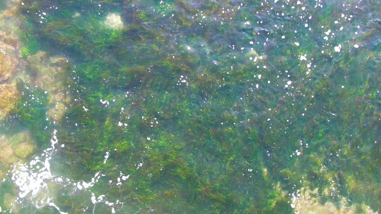Sunlit ripples over submerged green algae and rocks