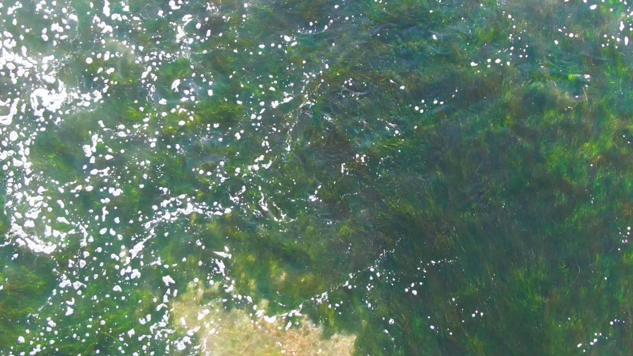 A green-blue overhead water frame from La Bocana shows scattered light flecks, gentle ripples, and pale sandy seabed visible through the clear surface, with no visible people.