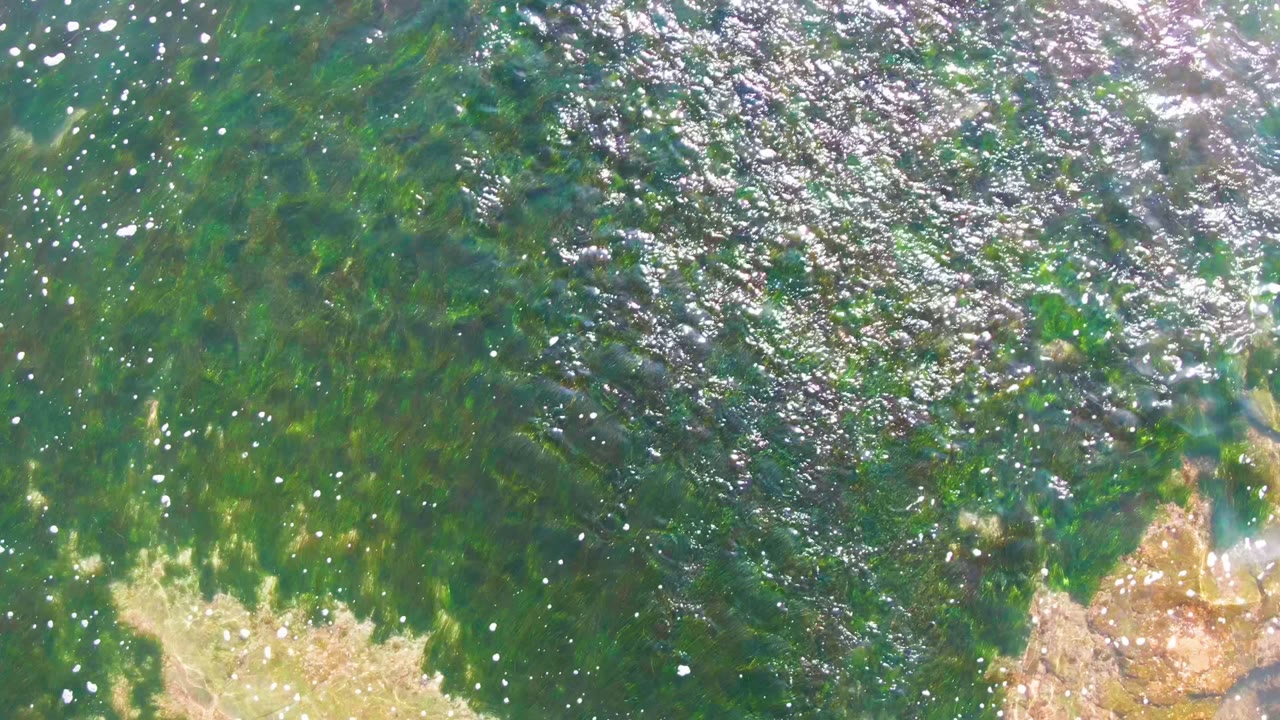 Overhead view of clear green water over seaweed and pale rocky patches in La Bocana, Baja California Sur, with no visible people.