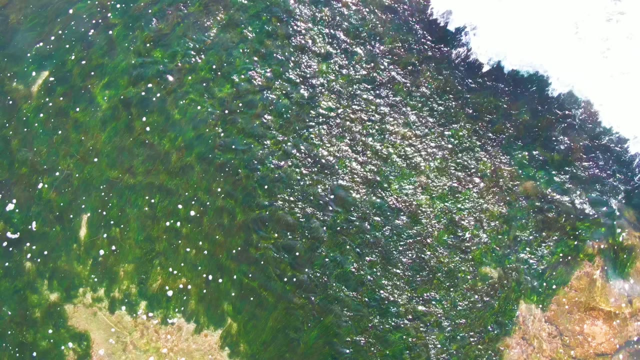 A top-down frame of La Bocana shallows shows rippled green water, seaweed below the surface, and scattered white sparkle with no visible people.