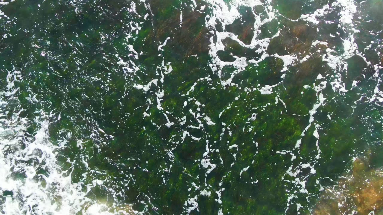 Top-down view of foamy green shallow water over submerged seaweed and tan seabed patches in La Bocana, Baja California Sur, with no visible people.