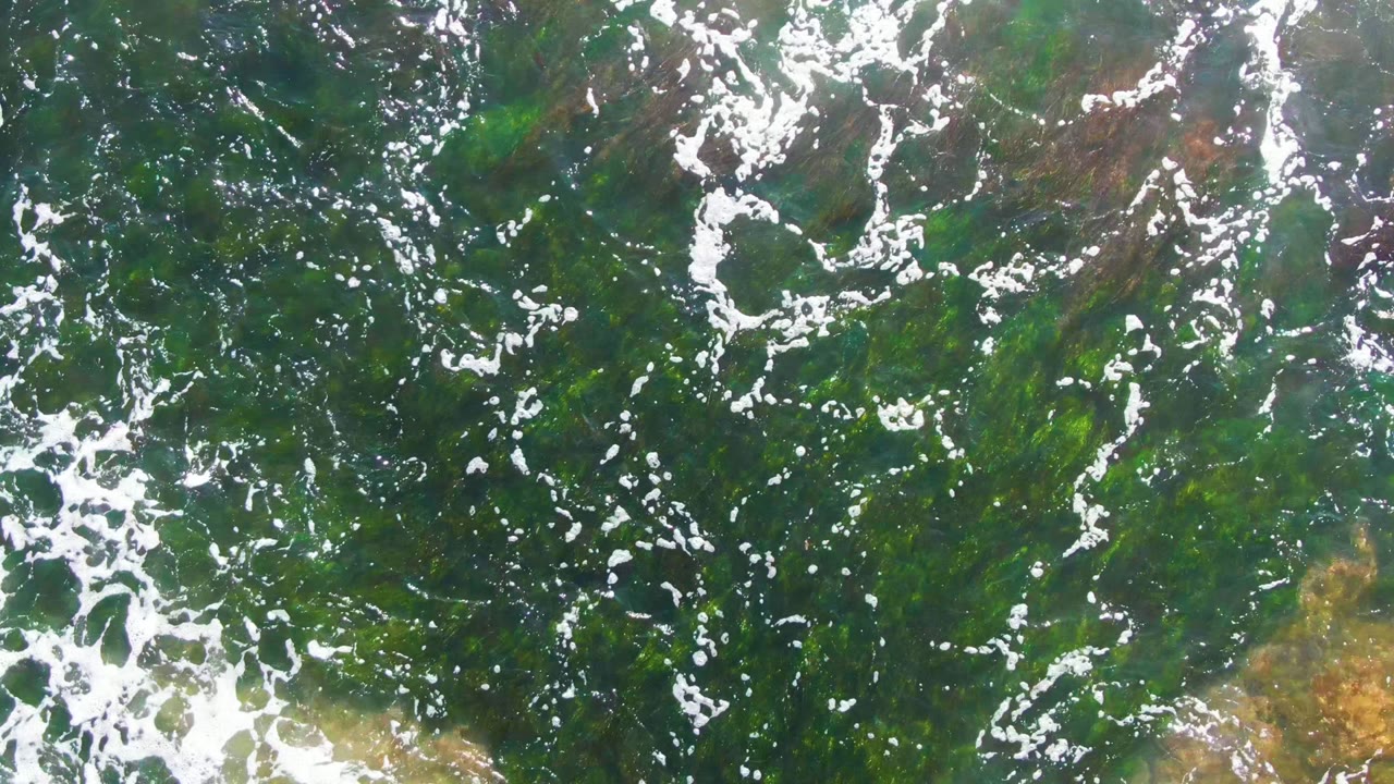 Clear shallow water with seaweed and scattered foam