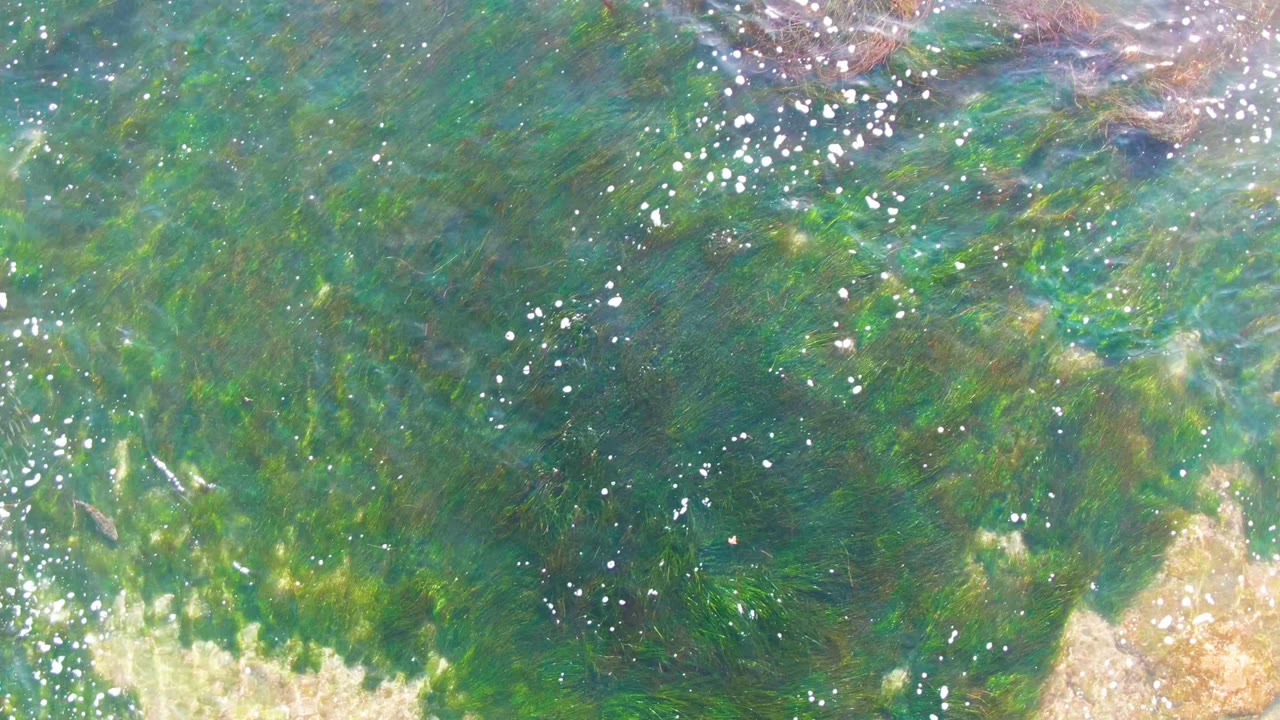 Clear green water with seaweed strands, bright bubbles, and rocks below.