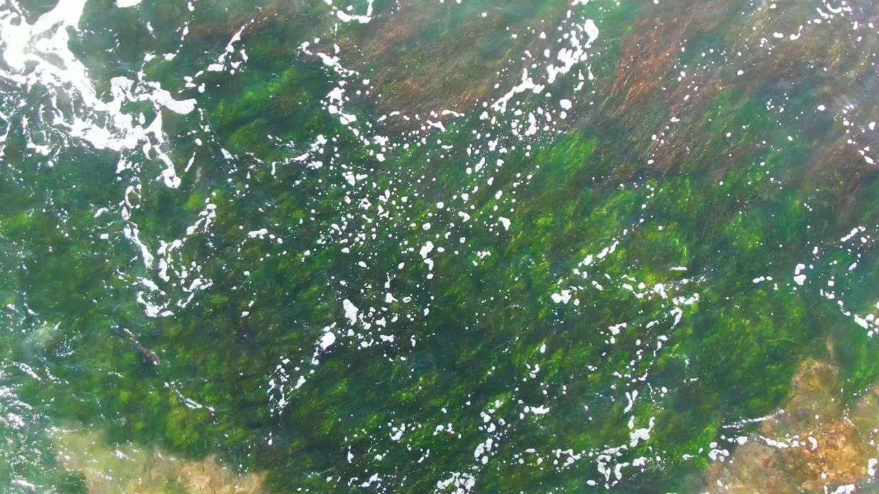 Blue-green shallow water reveals bands of green seaweed and scattered white foam in La Bocana, with no horizon and no visible people.