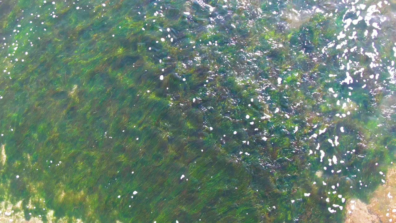 Overhead view in La Bocana, Baja California Sur, showing green shallow ocean water, bright surface reflections, and a white band of breaking foam at the right edge with no visible people.