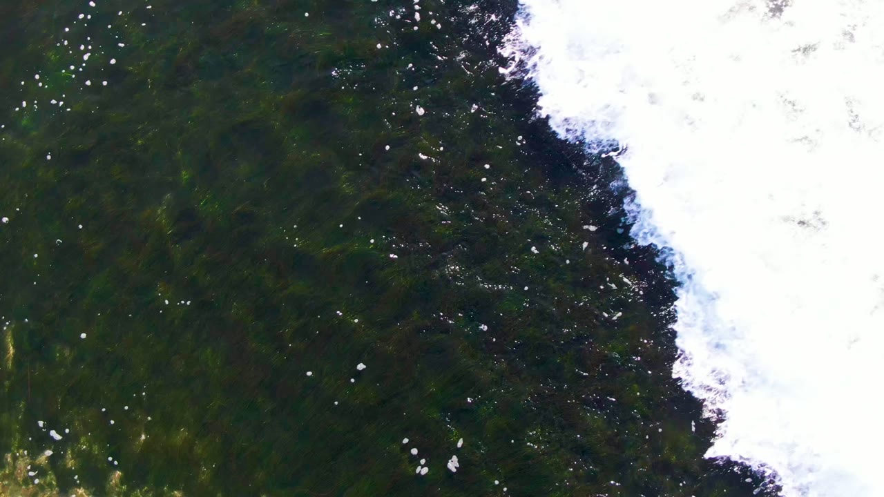 White breaking wave and dark green water seen from directly overhead.