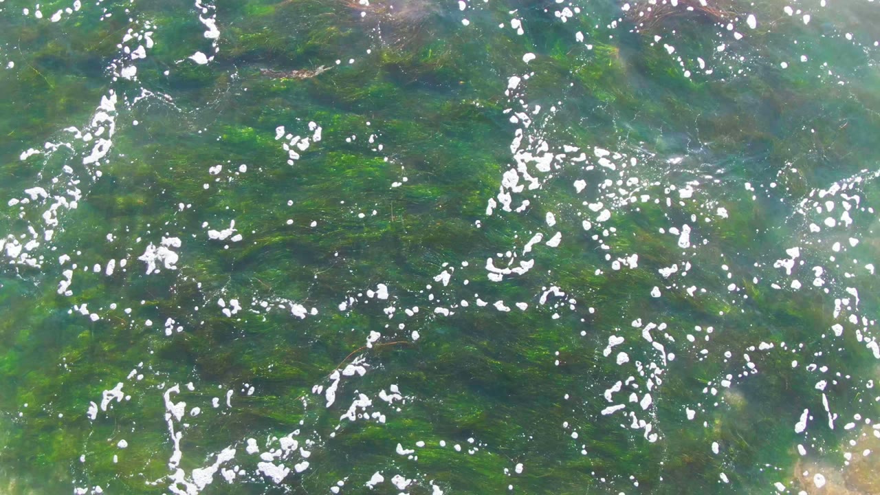 Clear shallow water at La Bocana, Baja California Sur shows green seaweed beneath scattered white bubbles and sunlight glints, with no visible people.