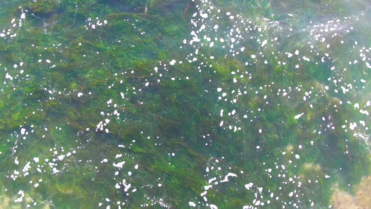 At 0:02, bright reflections cluster across the clear water above soft green seaweed bands at La Bocana, Baja California Sur, with no visible people.