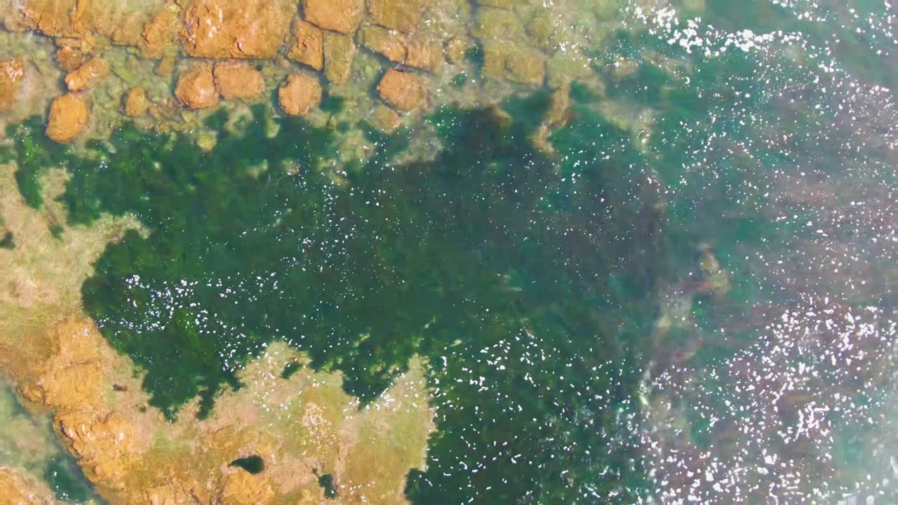 Top-down aerial view of La Bocana rocky shore with brown rock shelves, dark green rock pools, blue-green shallow water, bright sun glints, and no visible people.