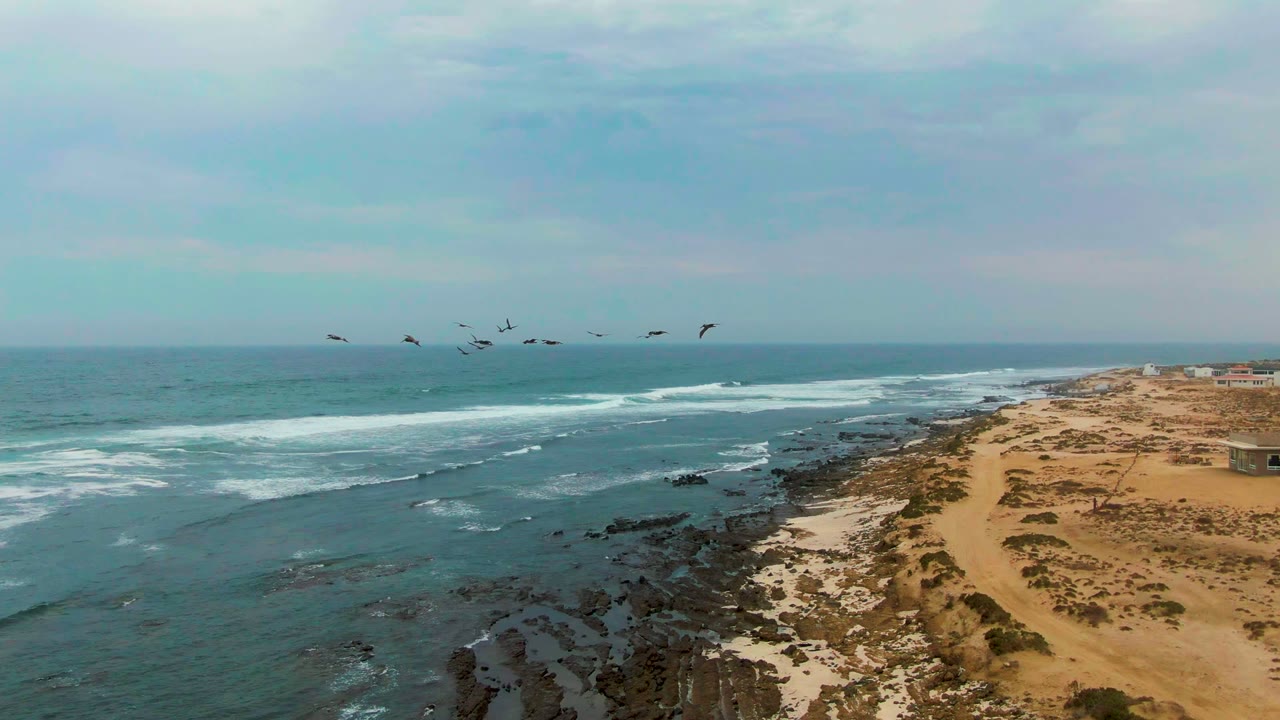 Flock of birds over waves and rocky beach with horizon beyond.