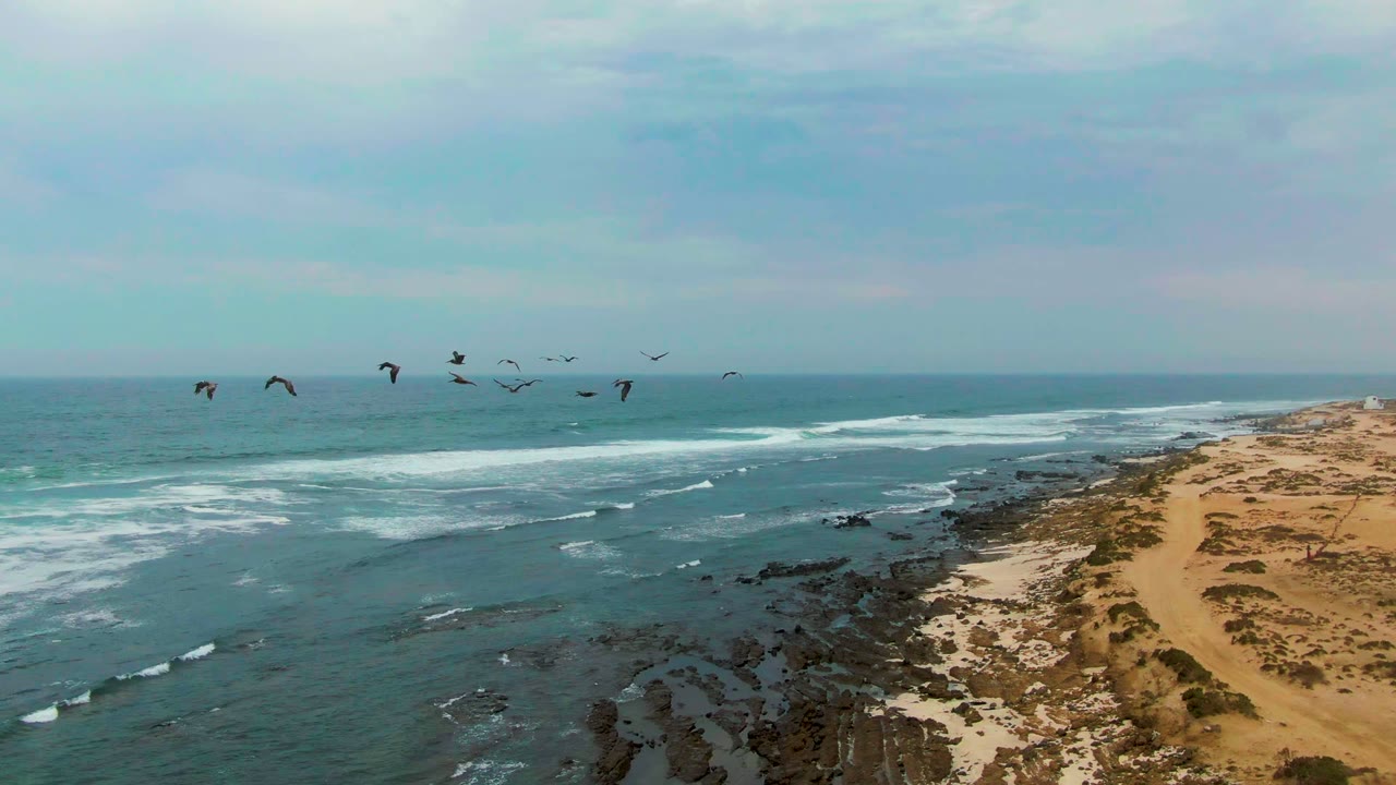 At La Bocana, Baja California Sur, the birds are farther left over open water, with layered white waves, black shoreline rocks, tan sand, and no visible people.