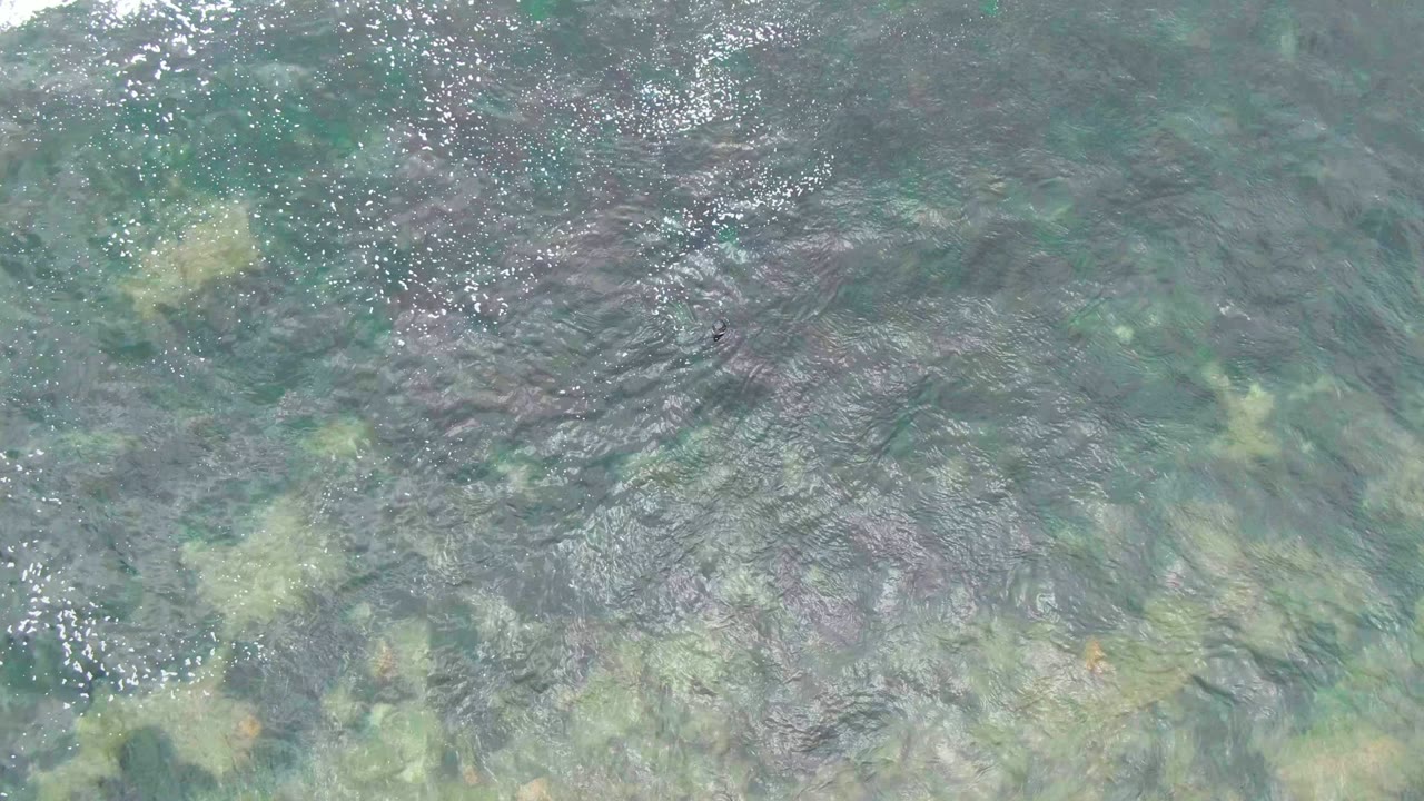 Close overhead frame of La Bocana shallow water with dense ripples, bright highlight patches, and muted green vegetation below, no visible people.