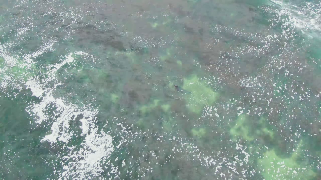 Overhead view of clear blue-green ocean at La Bocana, Baja California Sur, with scattered white foam over a dark seabed and no visible people.