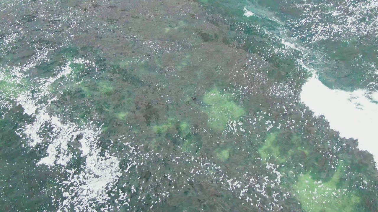 Clear ocean surface with bright foam streaks over green and dark seabed.