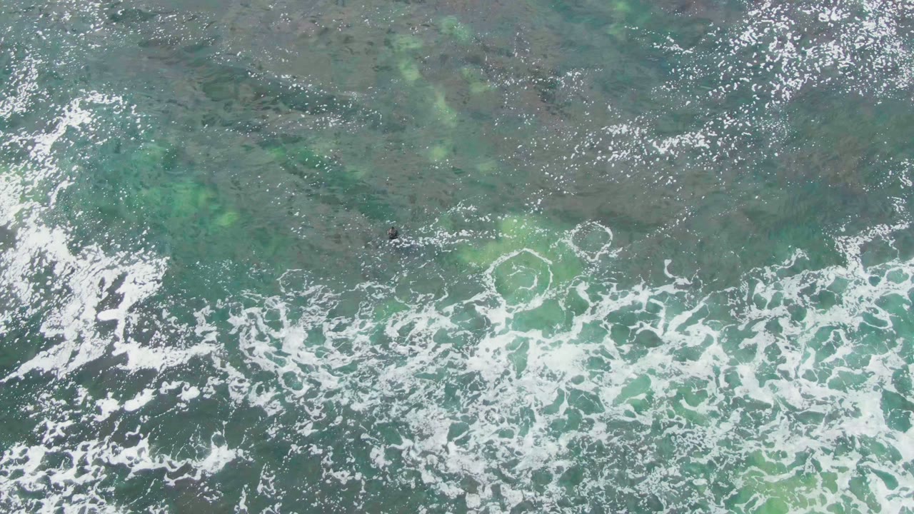 Overhead view in La Bocana, Baja California Sur, showing a small swimmer near the left side of clear green-blue shallow water as white foam breaks across the lower frame.