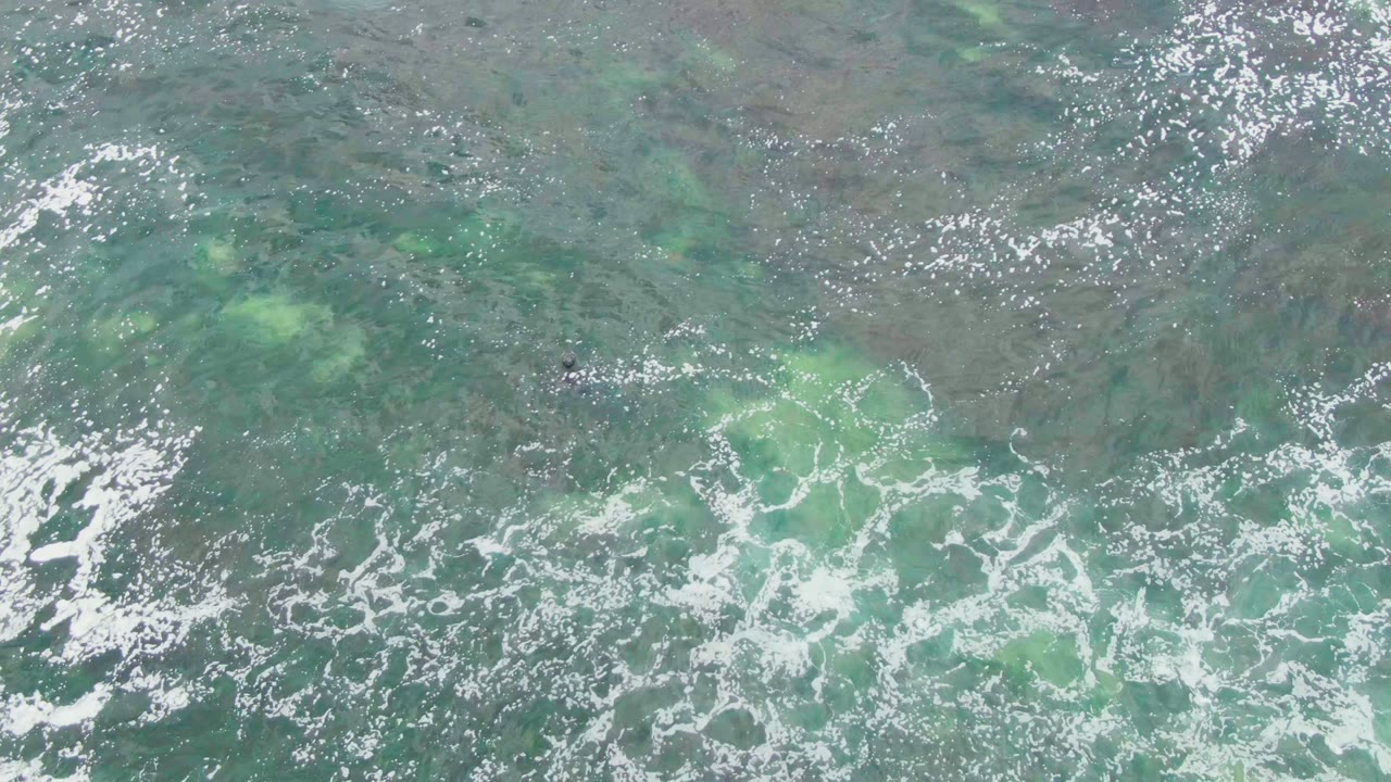 Straight-down view in La Bocana with the swimmer as a dark speck left of center, surrounded by pale green underwater patches and scattered white foam.