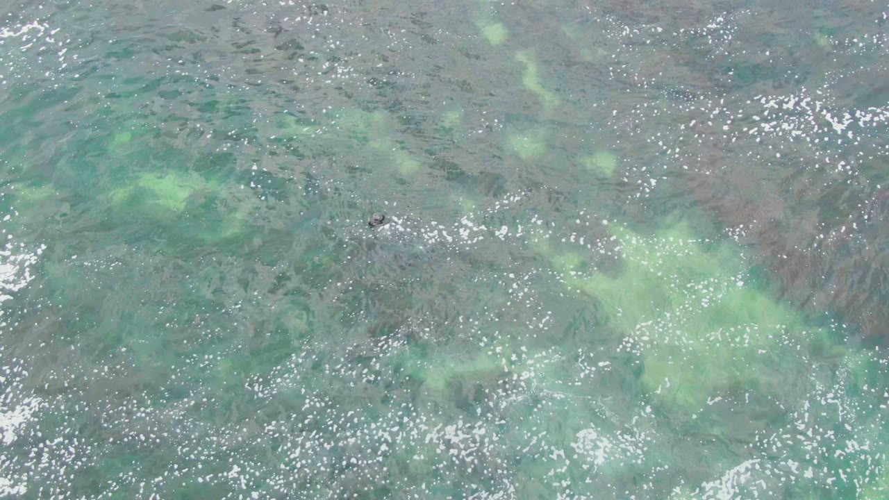 Overhead view of shallow ocean water in La Bocana, Baja California Sur, with green seabed patches, surface ripples, bright reflections, and no visible people.