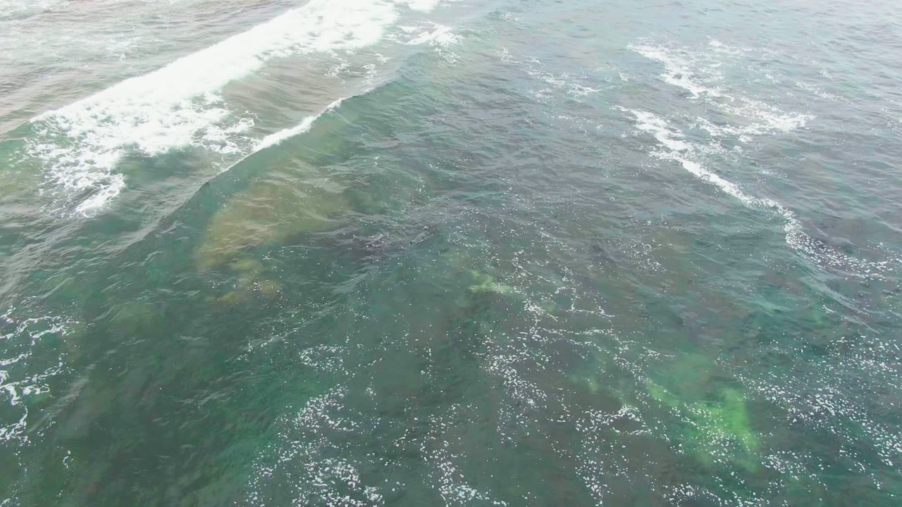 At 0:02 in La Bocana, Baja California Sur, Mexico, white foam gathers near the top while the whale remains partly hidden below the green-blue surface, with no visible people.