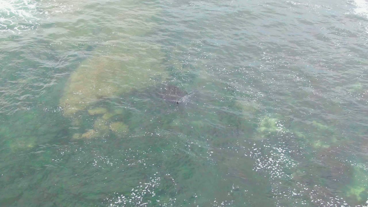 Clear shallow ocean water in La Bocana, Baja California Sur, Mexico shows a pale submerged rock under ripples and bubbles, with no visible people.