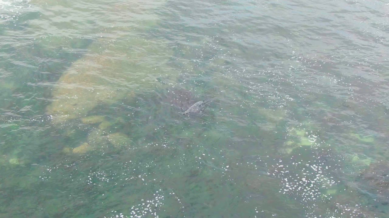 Submerged rock and darker underwater patch beneath rippled clear water.