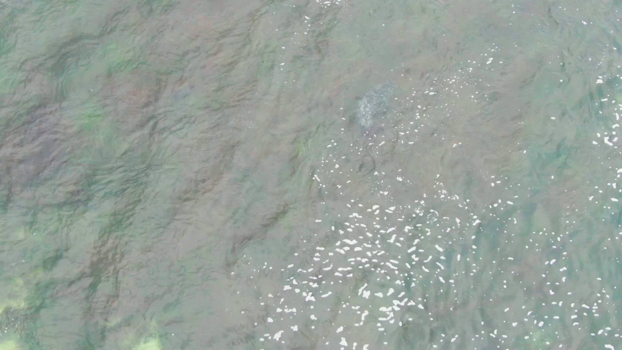 Rippling shallow water with a dense cluster of white reflections.