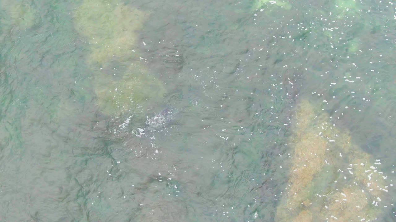 Clear water over a pale rock patch with small white reflections