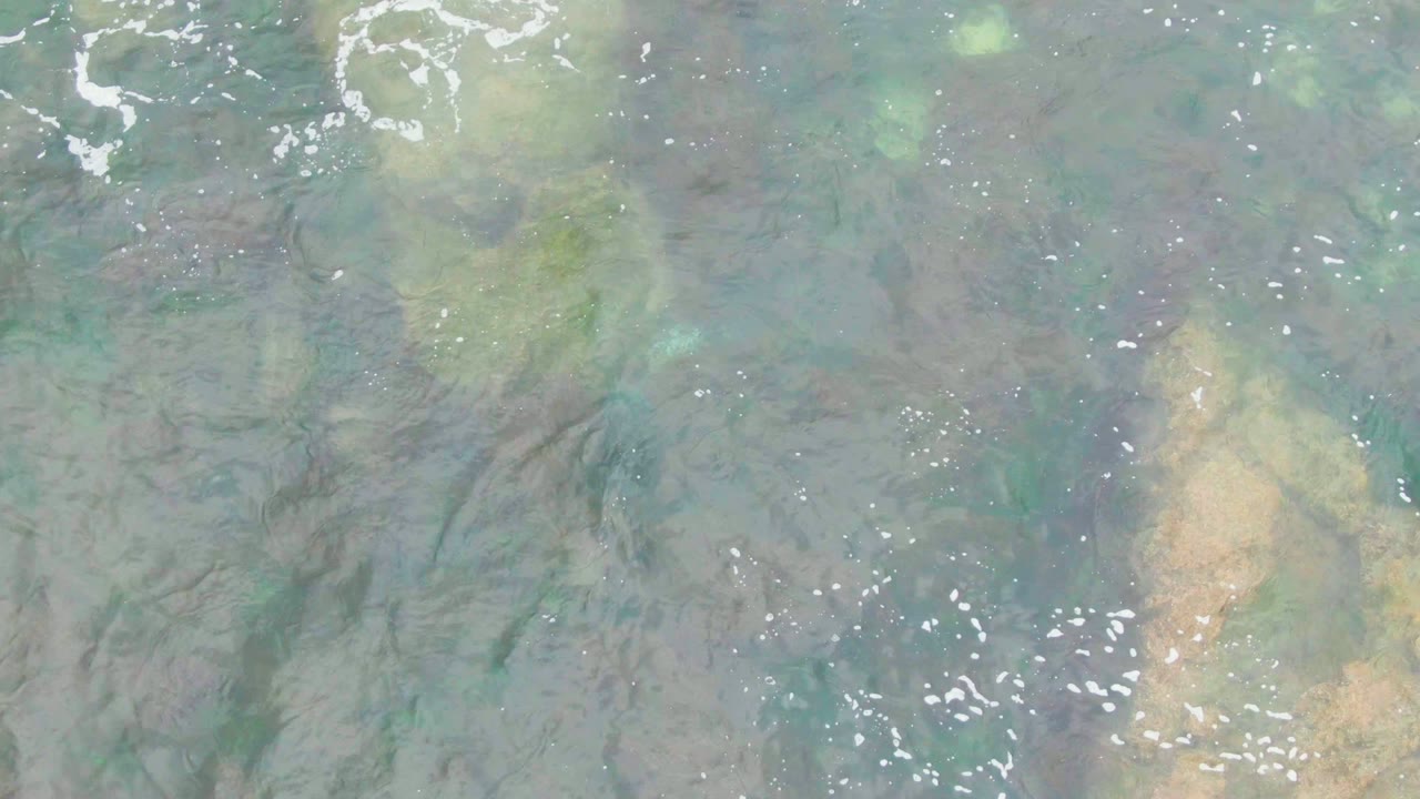 Green-blue shallow water with pale rock shapes and scattered white surface highlights.