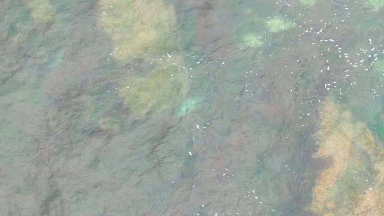 Overhead view of clear blue-green shallow water in La Bocana with submerged rock or coral patches and no visible people.