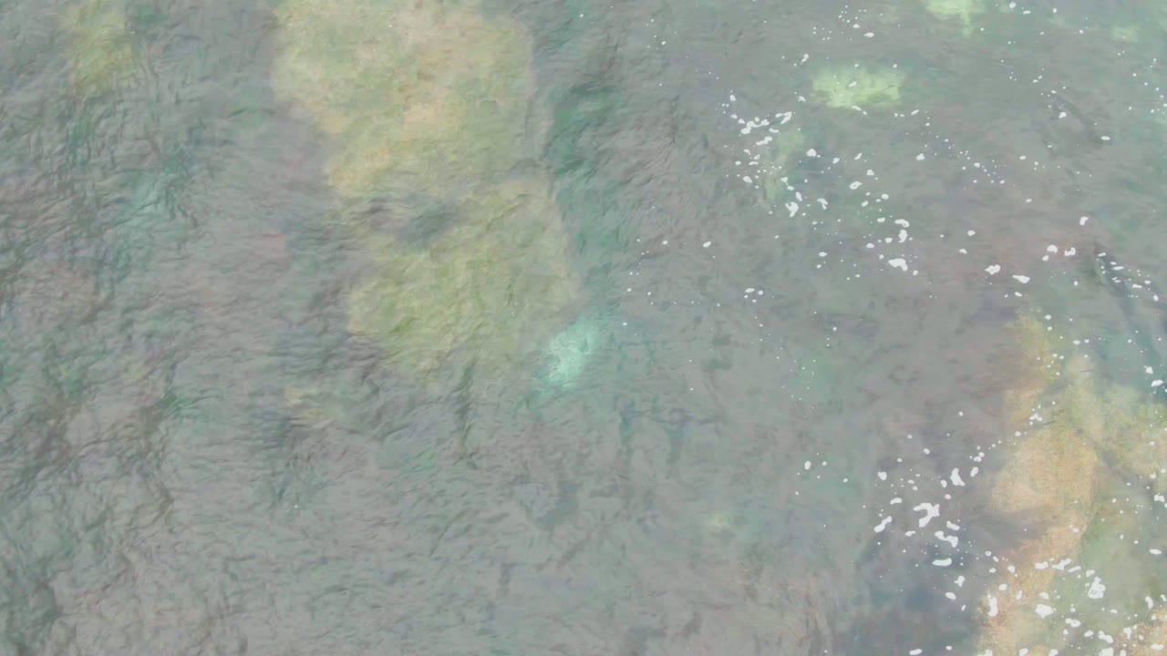 Overhead shallow water with ripples, seabed color patches, and a vertical line of foam.