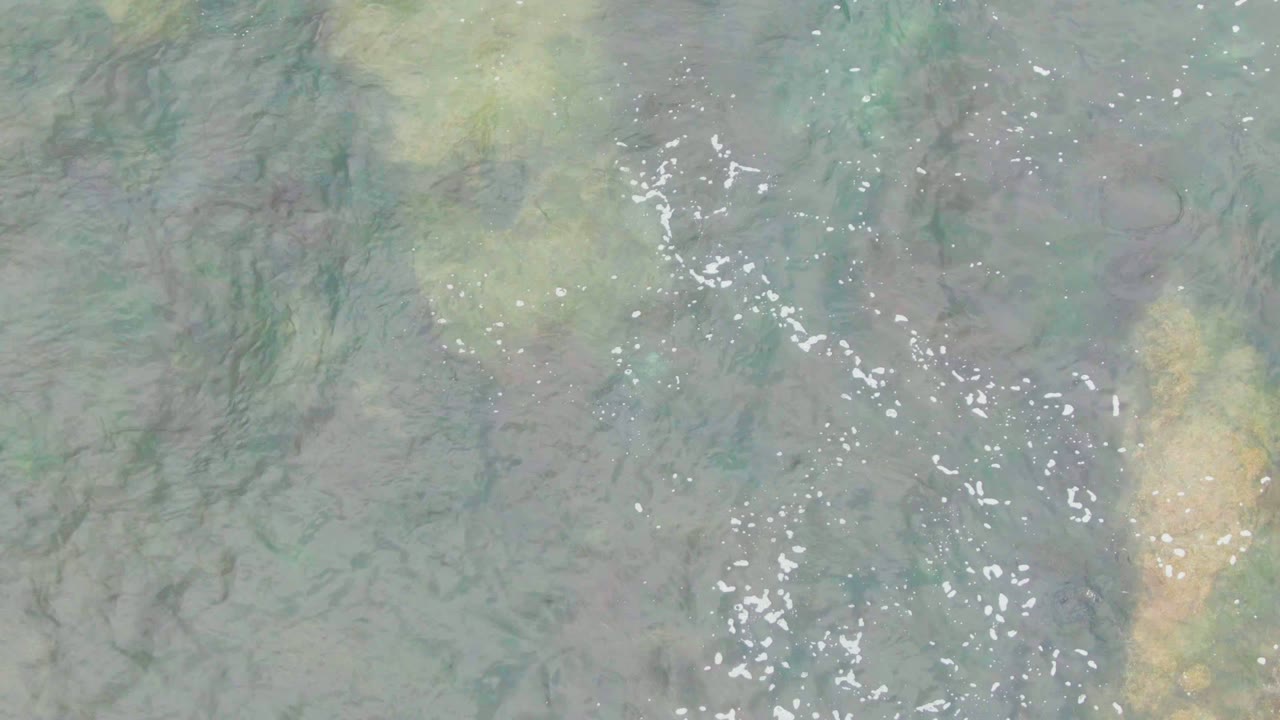 Pale shallow water with clustered white foam and darker submerged strands.