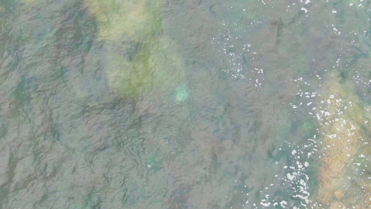 Mottled underwater seabed with pale yellow patches and bright water glints.