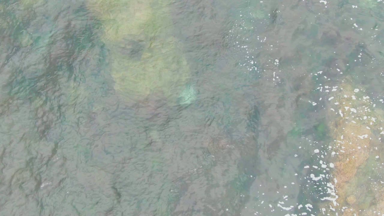 Clear shallow water over La Bocana reveals dark branching seabed texture, muted green areas, and small white fish scattered through the middle, with no visible people.