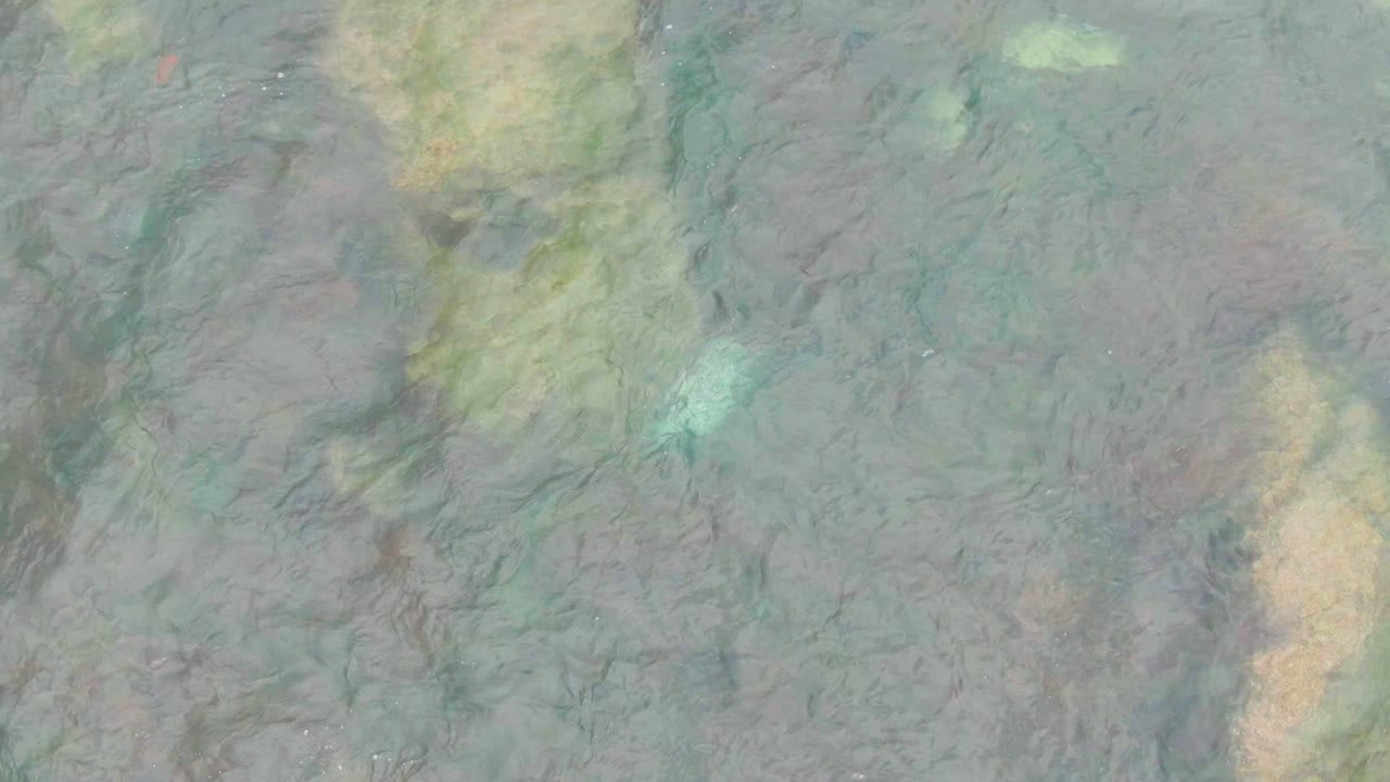 Overhead view of shallow green and brown water at La Bocana, Baja California Sur, with faint surface ripples and no visible people.