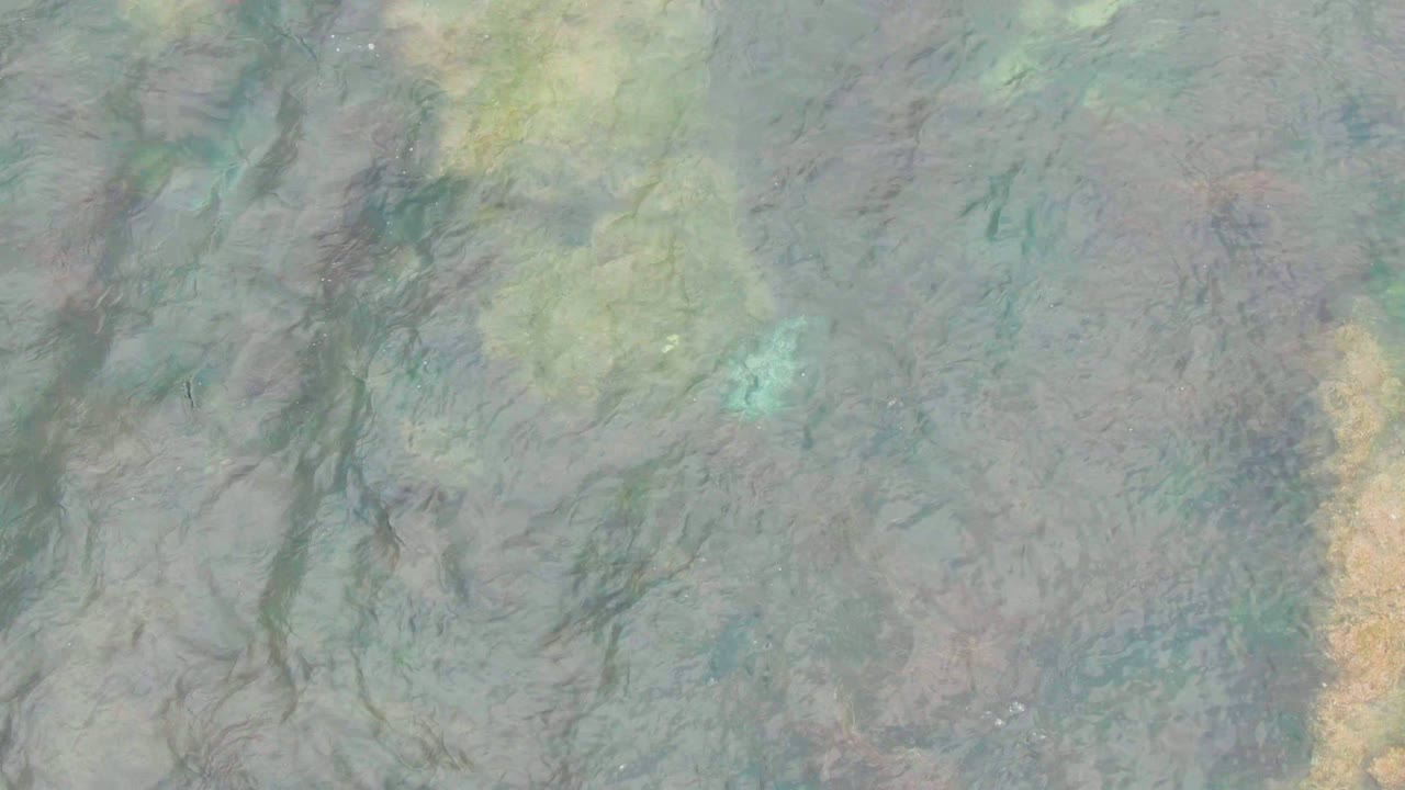Textured underwater seabed with green patches