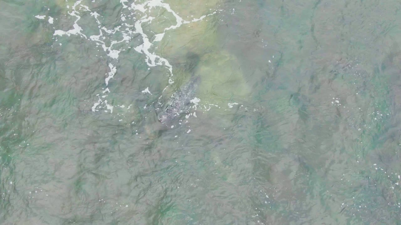 Overhead frame from La Bocana, Baja California Sur showing shallow green and brown coastal water with white foam patterns and no visible people.
