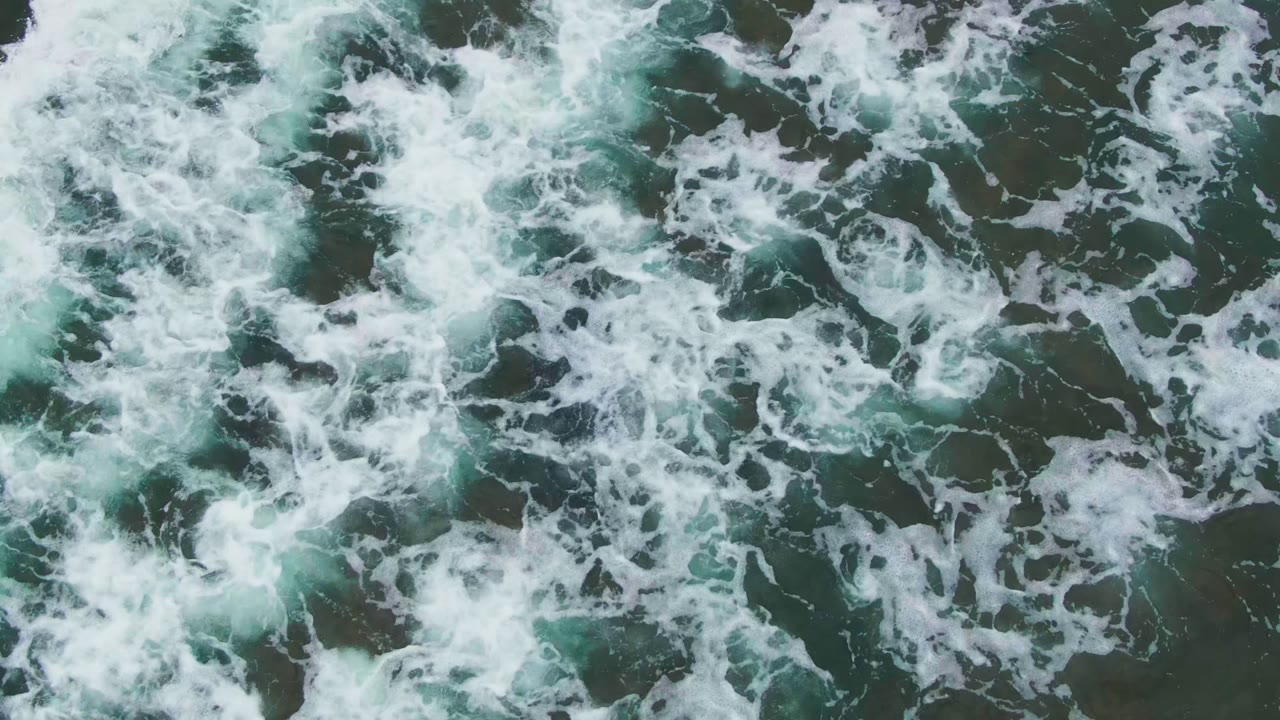 Top-down La Bocana coastal frame dominated by white foam and green-blue water over submerged rocks, with the seal not clearly visible and no visible people.
