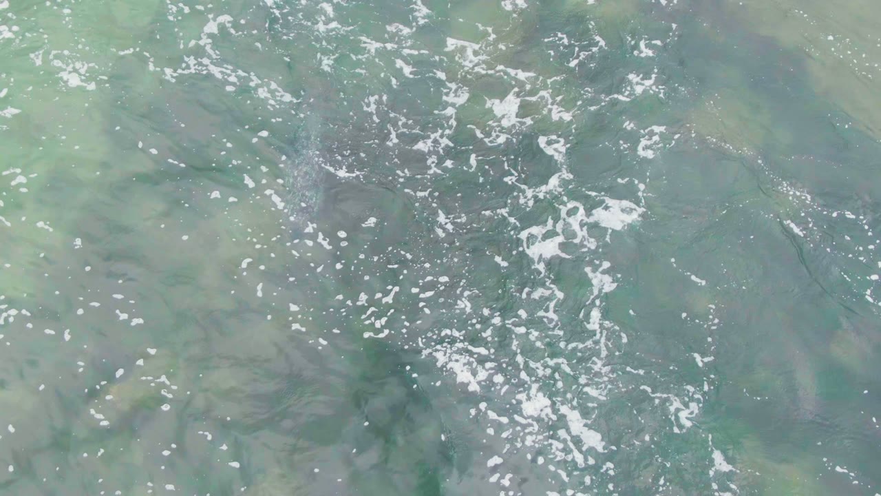 Clear green-blue water with bubbles and faint underwater animal movement.