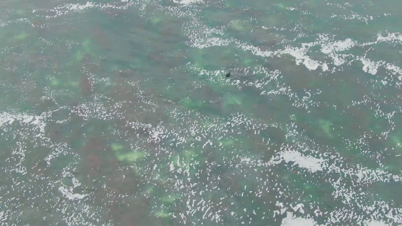 Overhead view of clear green-blue ocean at La Bocana, Mexico, with scattered white foam and darker underwater rocks or coral visible below, no visible people.