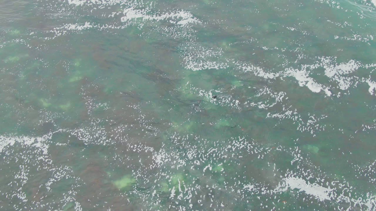 Top-down La Bocana ocean view with white foam flecks spread across clear water and muted brown-green underwater rock or coral shapes, no visible people.