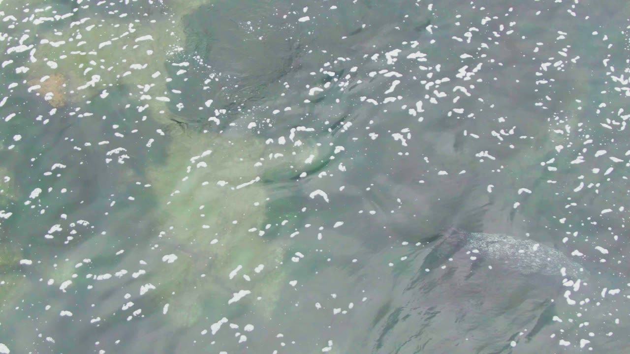 Rippling coastal water with white reflections and submerged rocks.