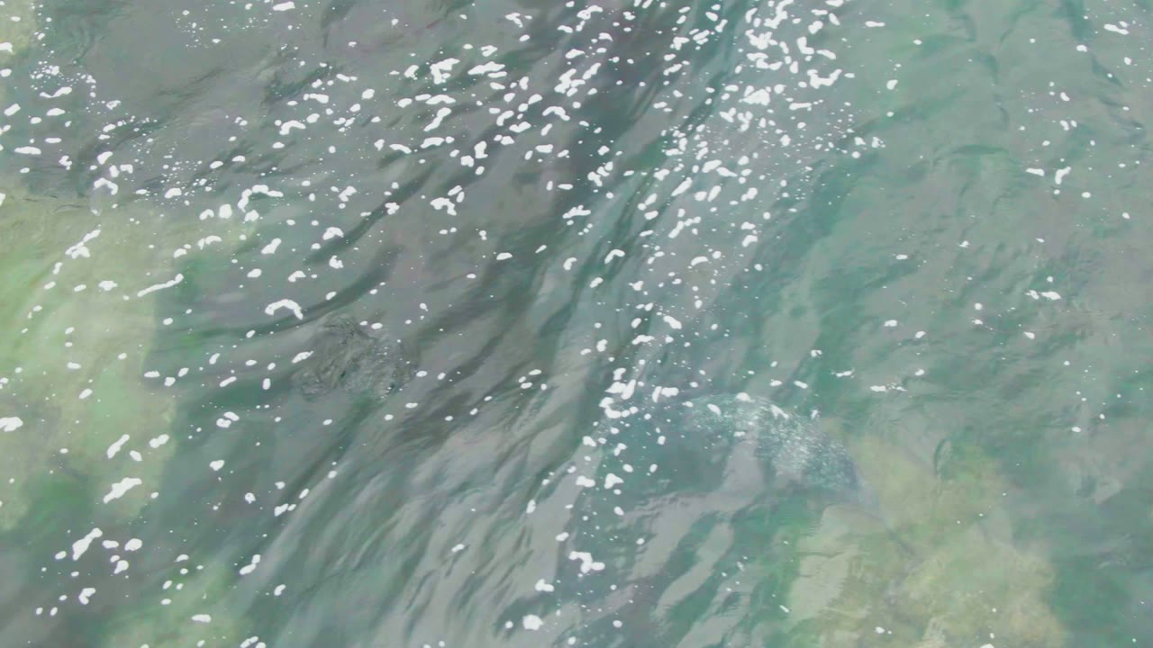 Bright white glints scatter across clear water in La Bocana while green and gray underwater rock shapes remain visible beneath the ripples, with no visible people.