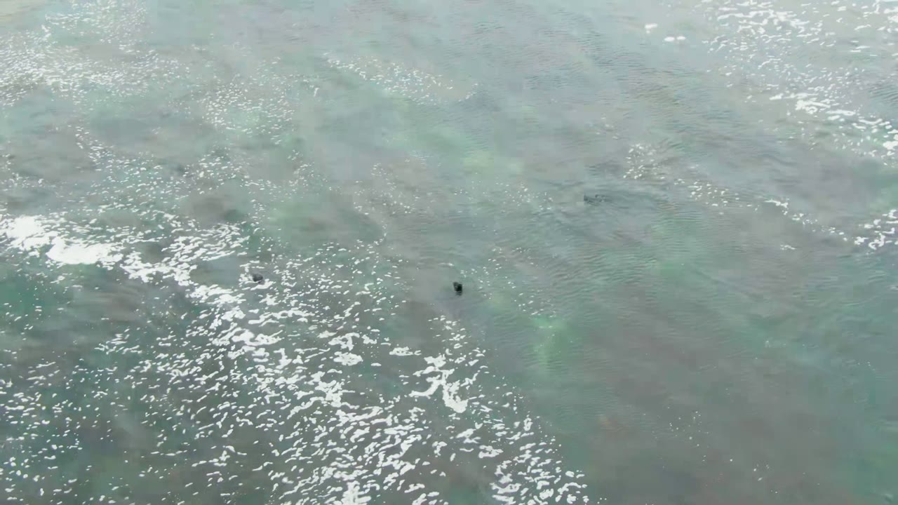 Overhead view of turquoise ocean water in La Bocana, Baja California Sur, with white foam bands and one small swimmer near the left side of the frame.