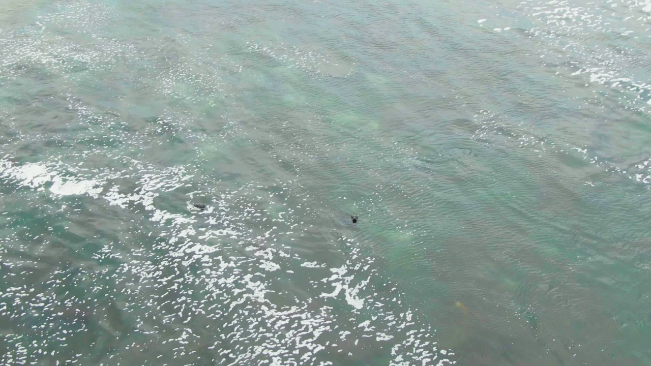 Aerial ocean surface with white foam and a tiny swimmer.