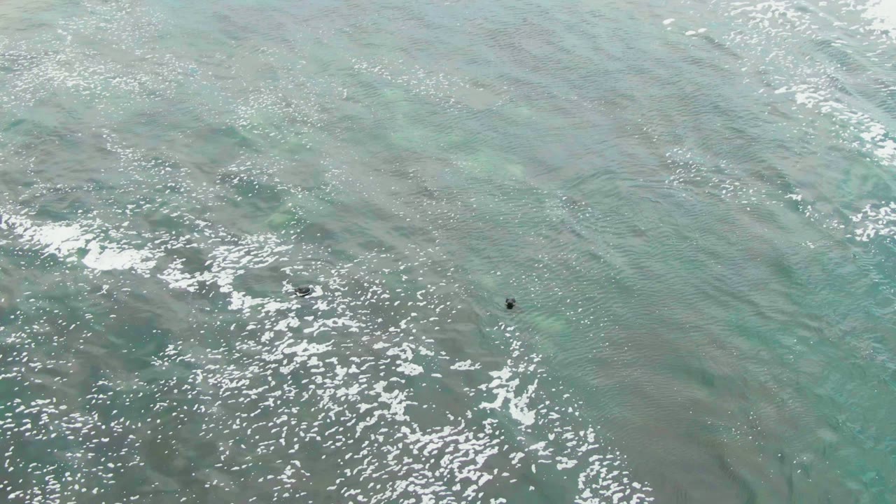 High overhead La Bocana ocean frame with turquoise water, scattered foam, and small dark swimmer figures spaced across the right side of the water.