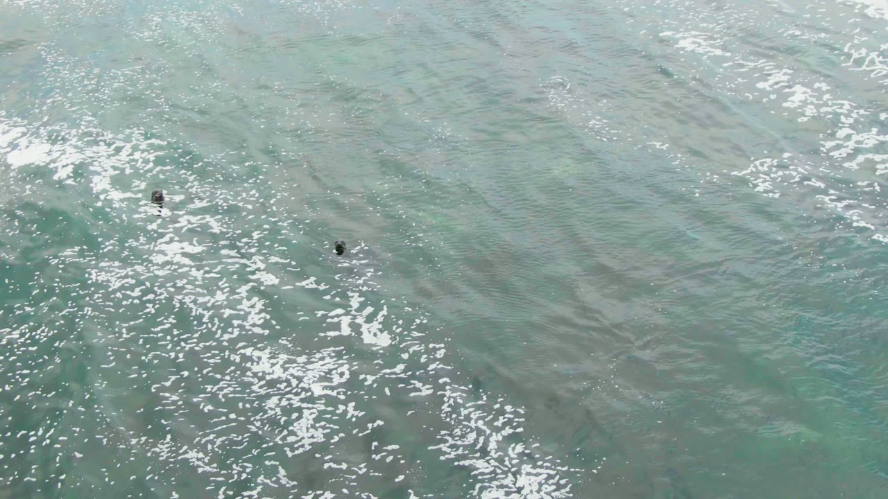 Two small swimmers are visible in La Bocana ocean water, separated across a pale turquoise surface with white foam collecting along the left side.