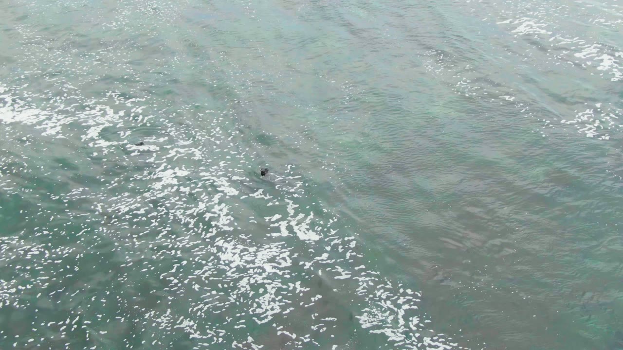 Distant swimmers appear as small dark marks in La Bocana ocean water, with white foam broken into speckled streaks across the upper and lower frame.