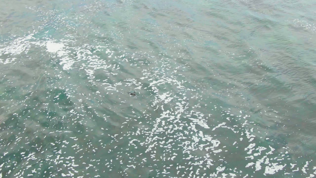 Overhead view of blue green ocean water in La Bocana, Baja California Sur, with white foam patches and a small dark floating object left of center, no visible people.