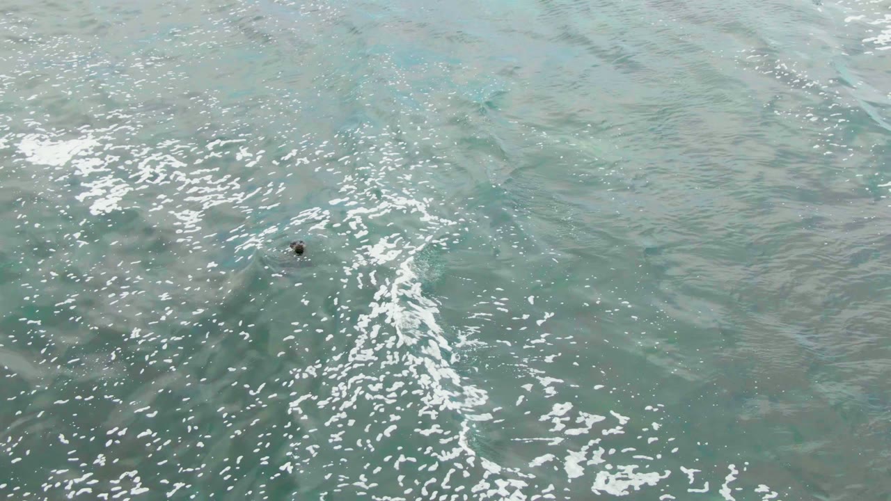 High overhead view of La Bocana coastal water with pale turquoise and green patches, bright foam texture, and a small dark object high in the frame, no visible people.