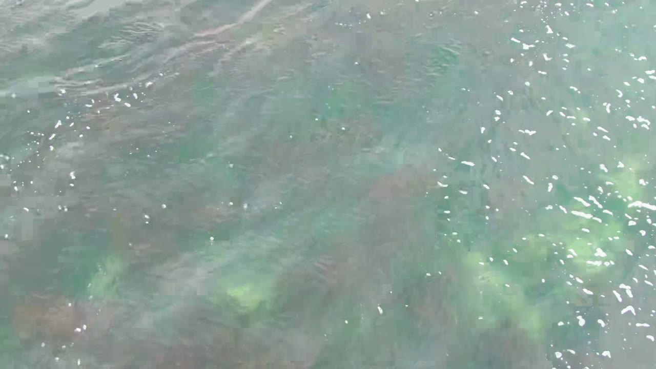 Clear shallow water at La Bocana, Baja California Sur shows green underwater vegetation beneath light surface ripples, with no visible people.